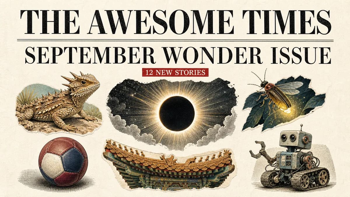 The Awesome Times 실제 화면 — 매월 12편을 읽는 어썸잉글리쉬 월간 영어 신문